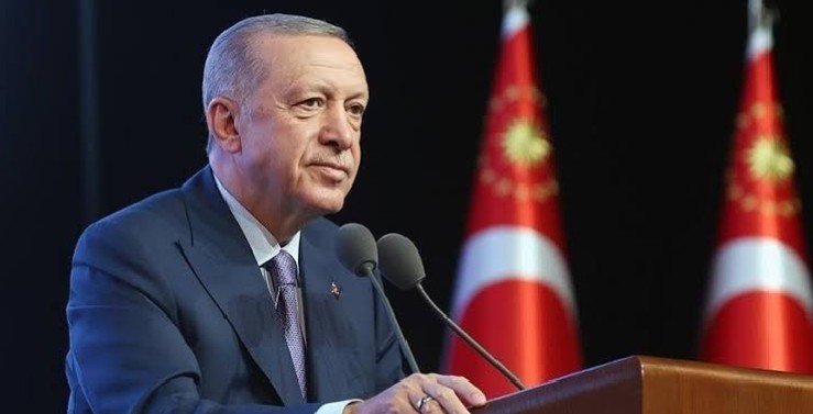 Ditahun Baru Erdogan janjikan perdamaian di Suriah dan Palestina