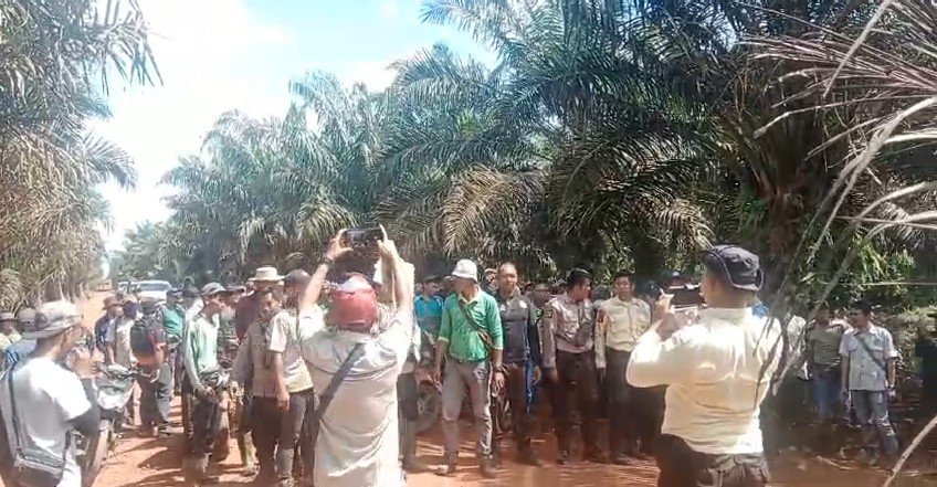 Perintahkan Penertiban Kawasan Hutan di Indonesia, Presiden Prabowo Keluarkan Perpres 5/2025