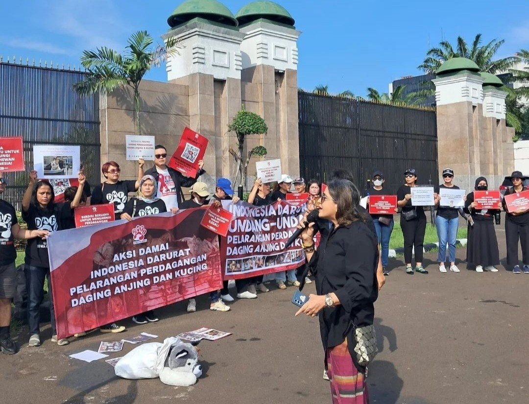 DPR Tolak RUU Larangan Konsumsi Daging Anjing dan Kucing, Pecinta Hewan Gelar Aksi Damai